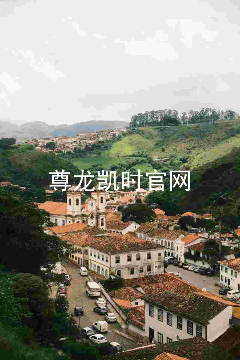 尊龙凯时官网