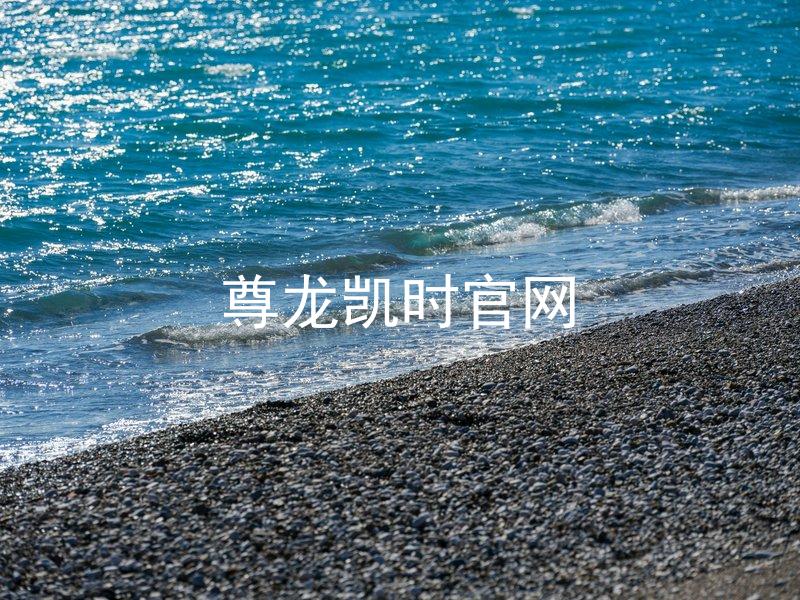 尊龙凯时官网