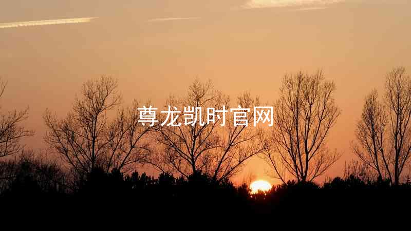 尊龙凯时官网