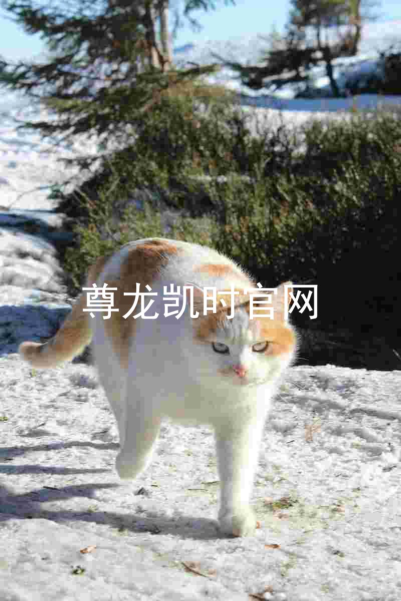 尊龙凯时官网