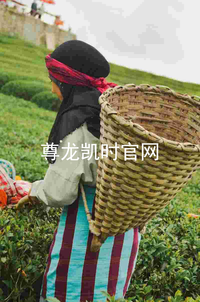 尊龙凯时官网