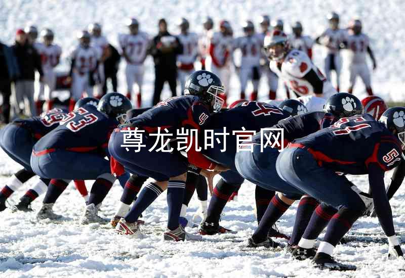 尊龙凯时官网