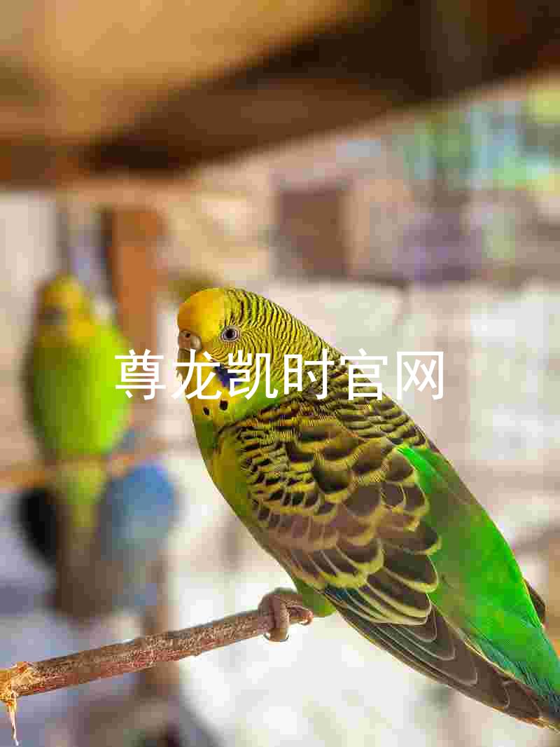 尊龙凯时官网